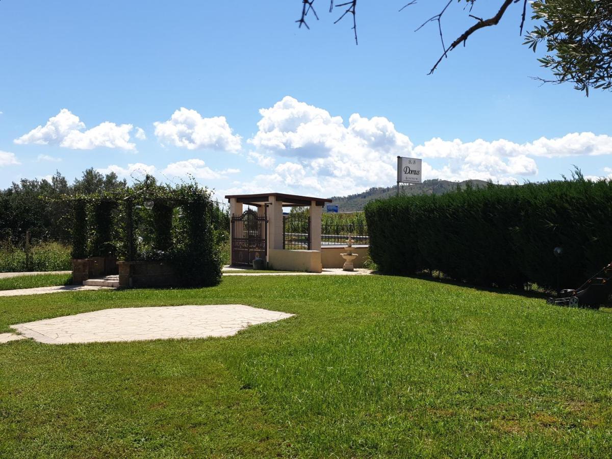 Bb Domus Catanzaro Bed & Breakfast Exterior photo